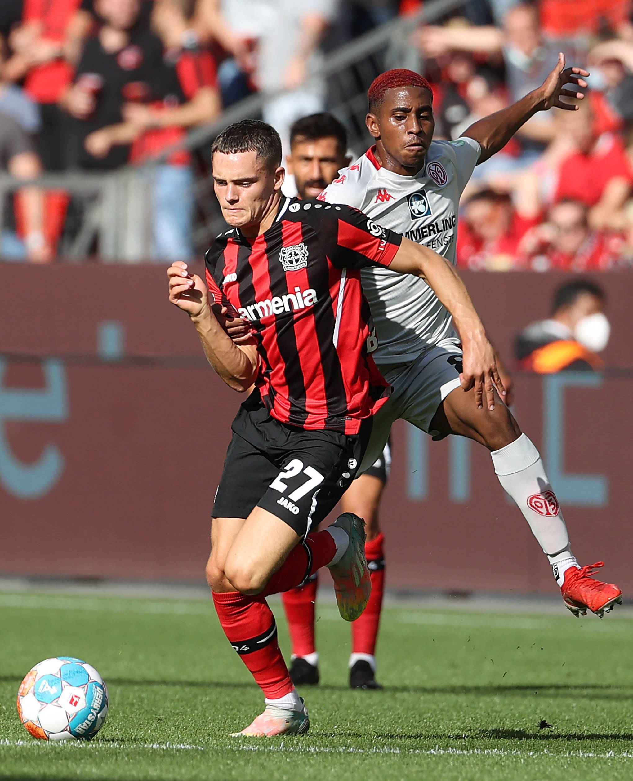 樊振东的提 樊振东的提