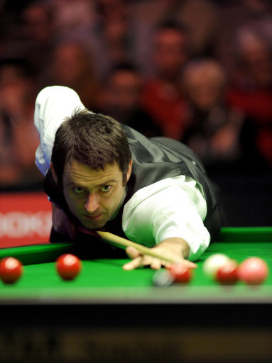 许多冠军级 许多冠军级